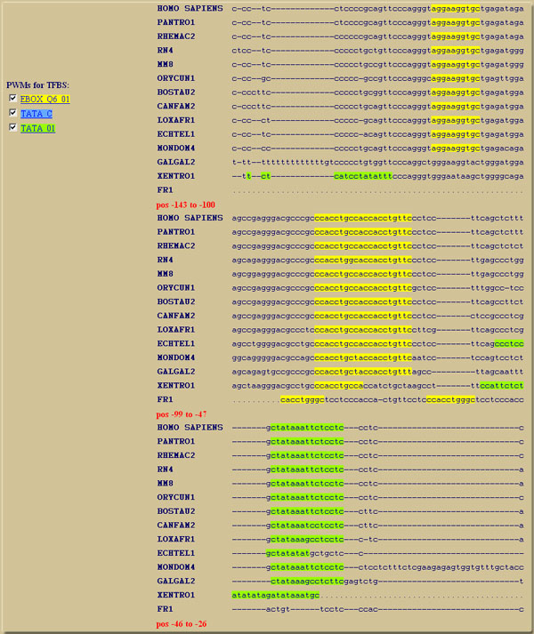 example results ConTra for ATOH7